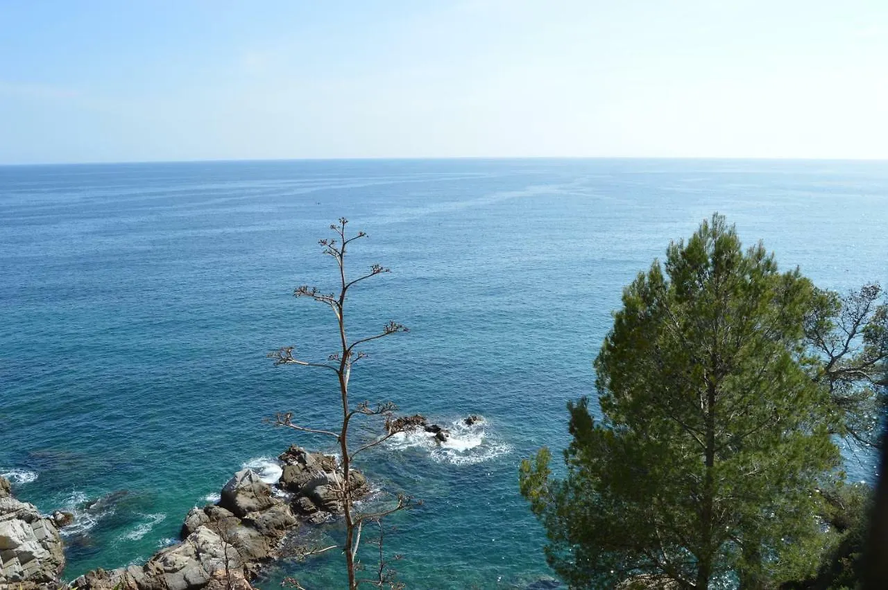 Apartment Appartements Mediterraneens Avec Piscine Tossa de Mar